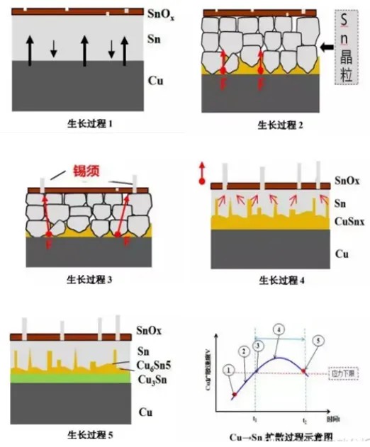 锡须试验过程